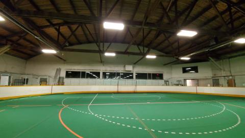 Interior of indoor field / arena. The floor / turf is green.