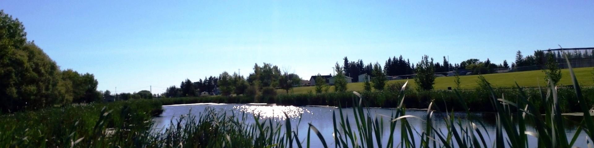 waterway in park