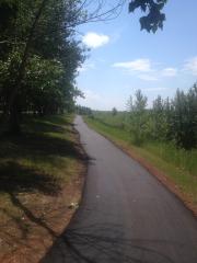 Paved trail with greenery flanking it on each side. There are trees to each side of the trail.