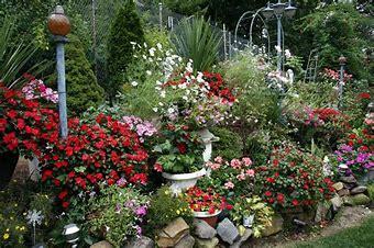 a dense garden with lots of blooming flowers
