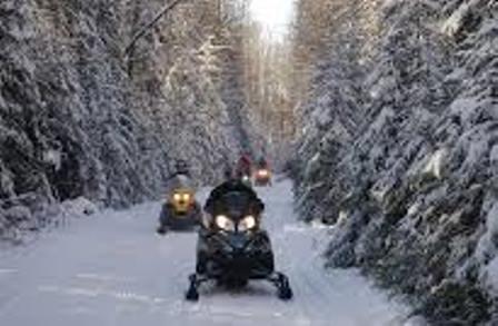 a group of snowmobilers in a wintery forrest 